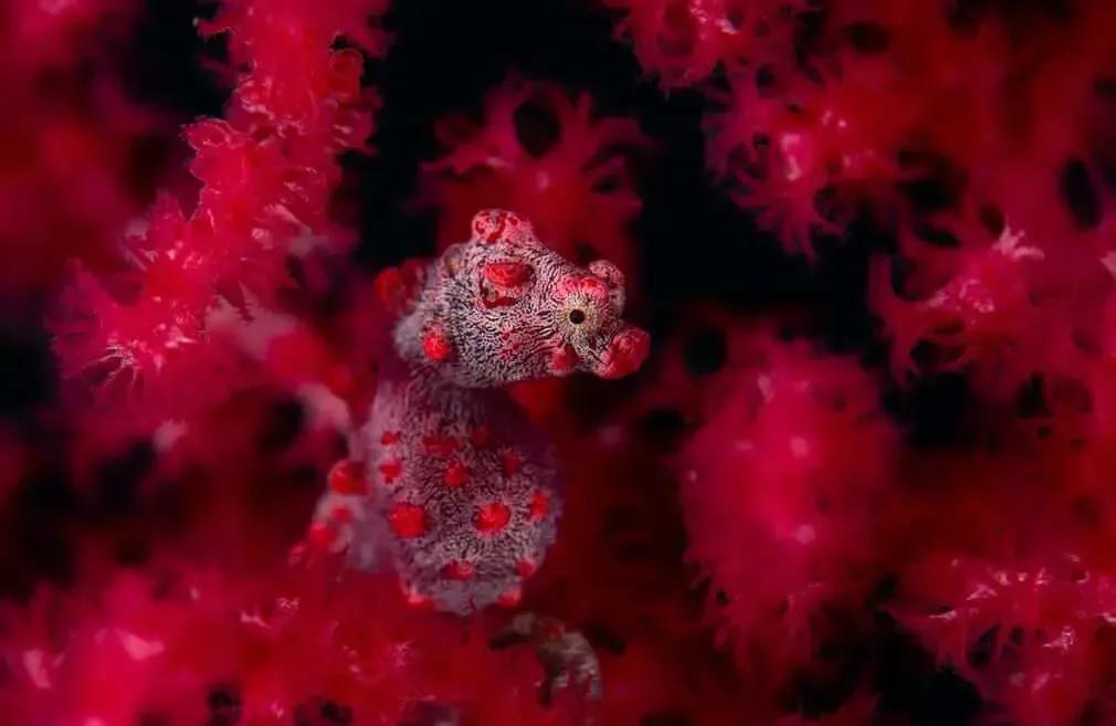 Фотография автора