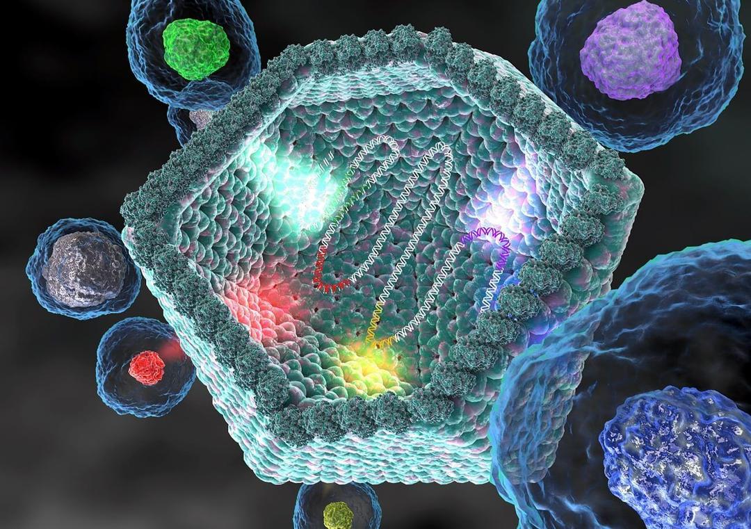 Главная фотография статьи НЕКЛЕТОЧНЫЕ ФОРМЫ ЖИЗНИ, ВИРУСЫ